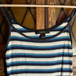 ✨2 for $15✨ Express multi-shade blue & silver striped tank top
